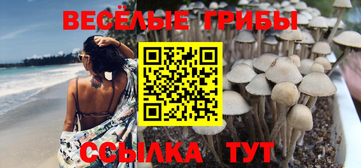 Cocaine Мичуринск