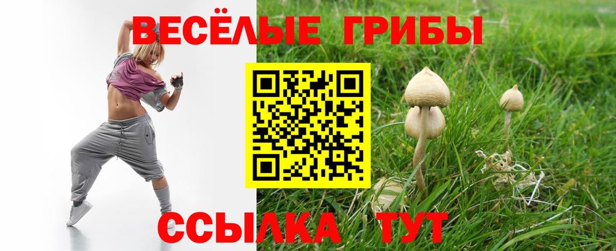 Мичуринск  Псилоцибиновые грибы прущие грибы  Вход с VPN 